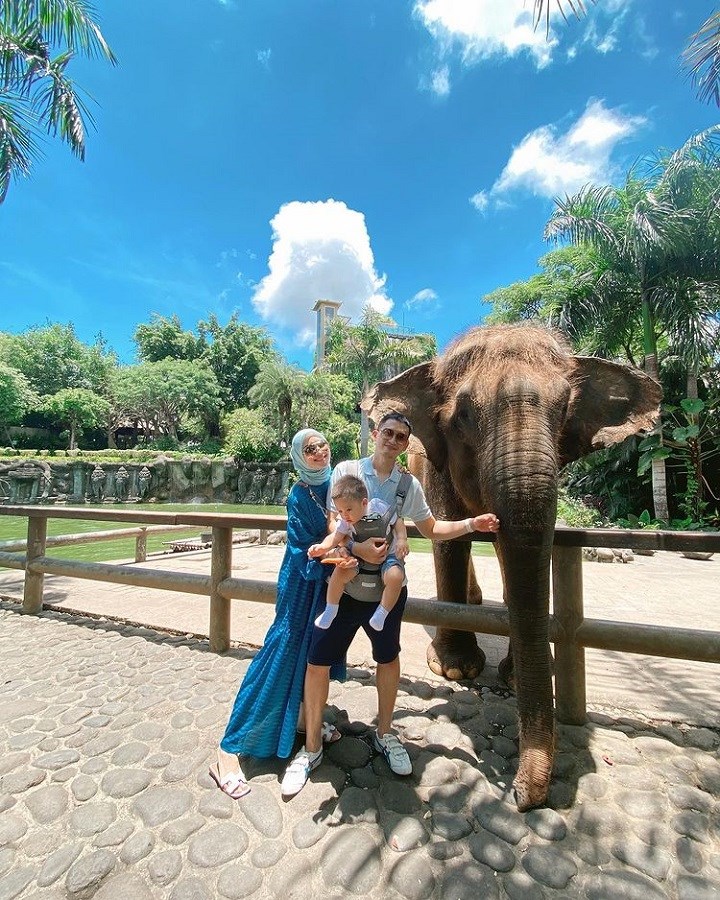 Ajak anak mengenal fauna