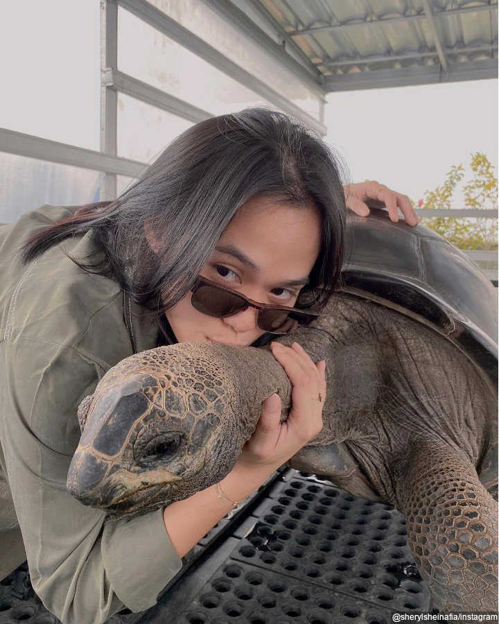 <i>animal lovers</i>
