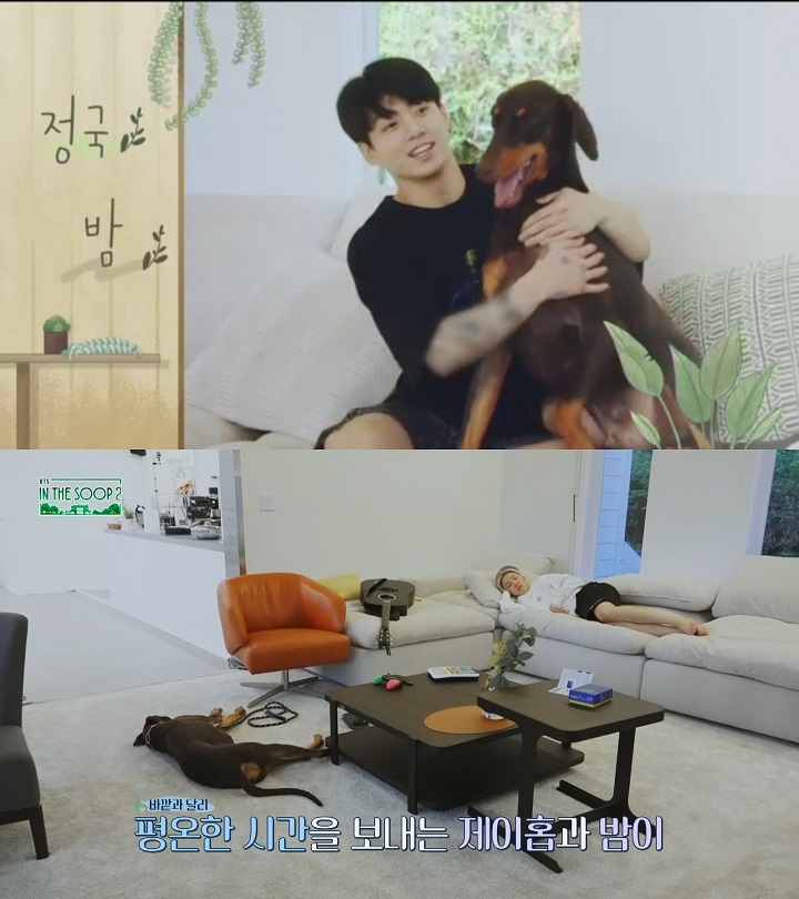 Anjing Jungkook BTS Ubah Stereotip Soal Doberman, Netizen Gemas dengan Tingkahnya Ini