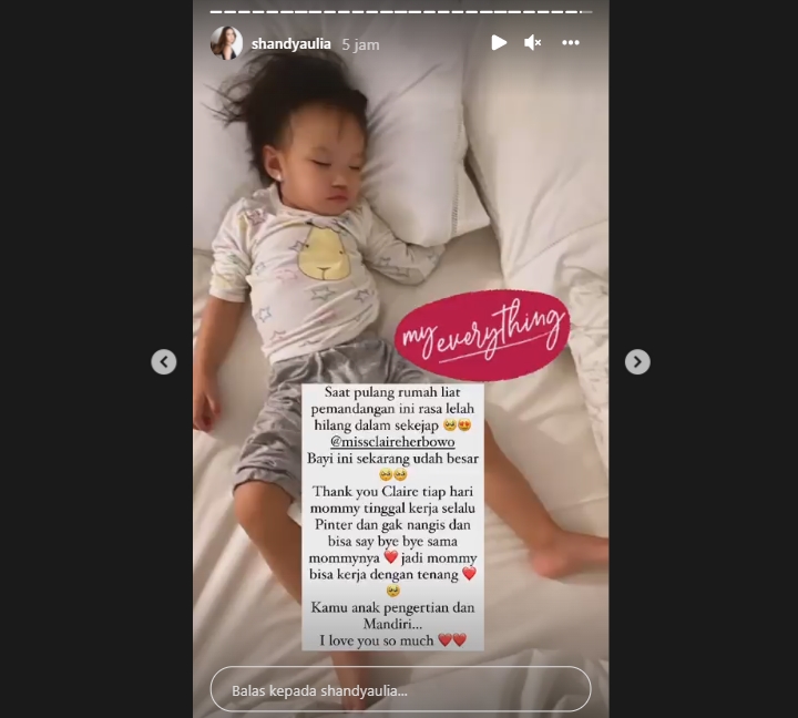 Shandy Aulia Mellow Saat Pulang Kerja, Puji Sang Putri Pengertian dan Mandiri