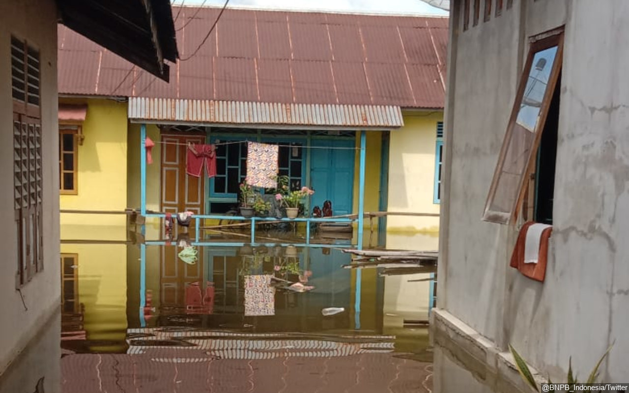3 Pekan Banjir Di Kalimantan Barat Tak Kunjung Surut, Tinggi Masih Lebih Dari 2 Meter