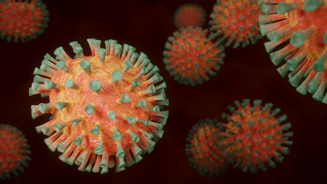 Pandemi Di RI Semakin Terkendali, Per November Daerah Bebas Penularan COVID-19 Bertambah