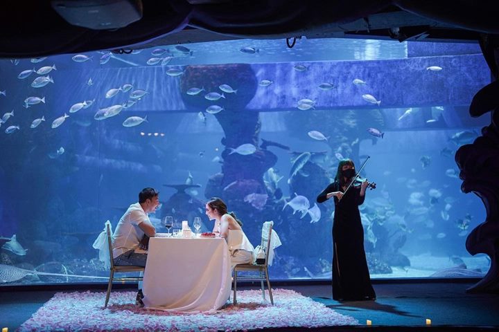 momen romantis di perayaan ultah