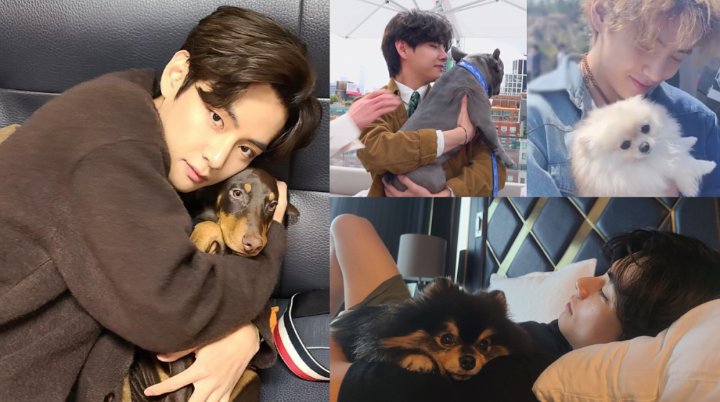 Foto V BTS Bareng Anjing Jungkook Disorot, Perlakuan ke Peliharaan Jadi Perhatian
