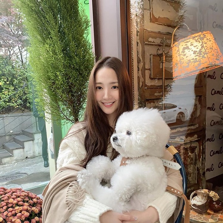 pecinta anjing