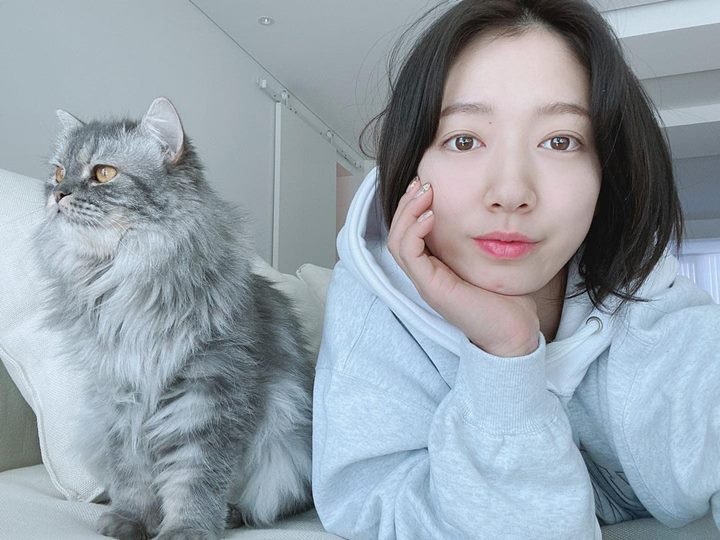 <i>Animal lovers</i> 