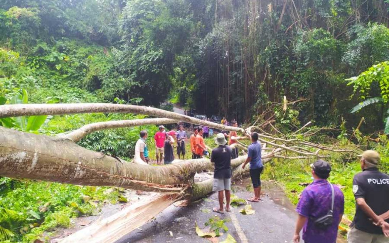 Persitiwa Nahas Longsor Timbun Rombongan Wisatawan di Gianyar, 2 Orang Dinyatakan Tewas