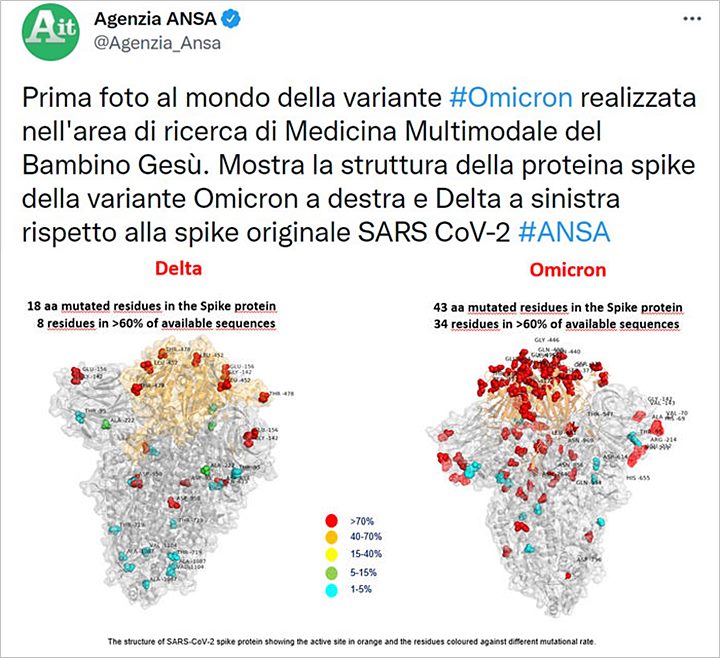 Peneliti Italia Pertama Kali Ungkap Foto Perbandingan Varian Omicron dan Delta