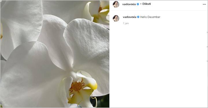 ‘Kemunculan’ Perdana Velove Vexia Usai Resmi Menikah, Ramai Digoda Soal Status Baru