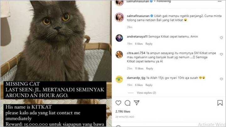 Kucing Kesayangan Hilang, Salmafina Sunan Siap Kasih Imbalan Rp 15 Juta Bagi yang Menemukan