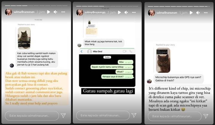 Kucing Kesayangan Hilang, Salmafina Sunan Siap Kasih Imbalan Rp 15 Juta Bagi yang Menemukan