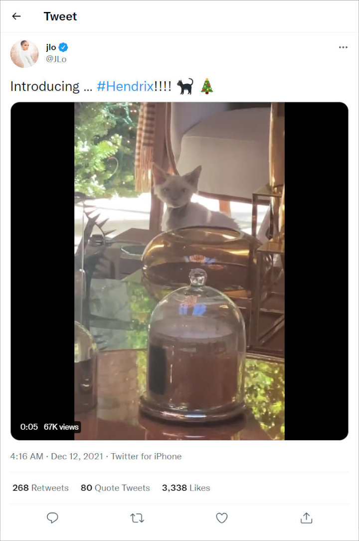Jennifer Lopez Kenalkan Kucing Piaraan Malah Ramai Dicemooh