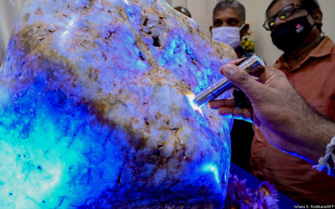 Diklaim Terbesar di Dunia, Sri Lanka Temukan Batu Safir Biru Alami Langka Seberat 310 Kilogram
