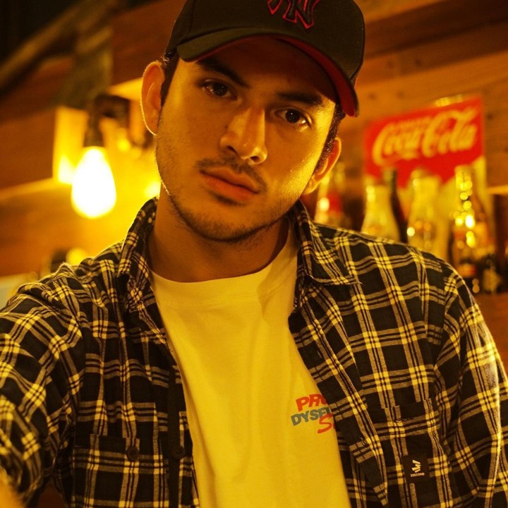 Model dan Penyanyi