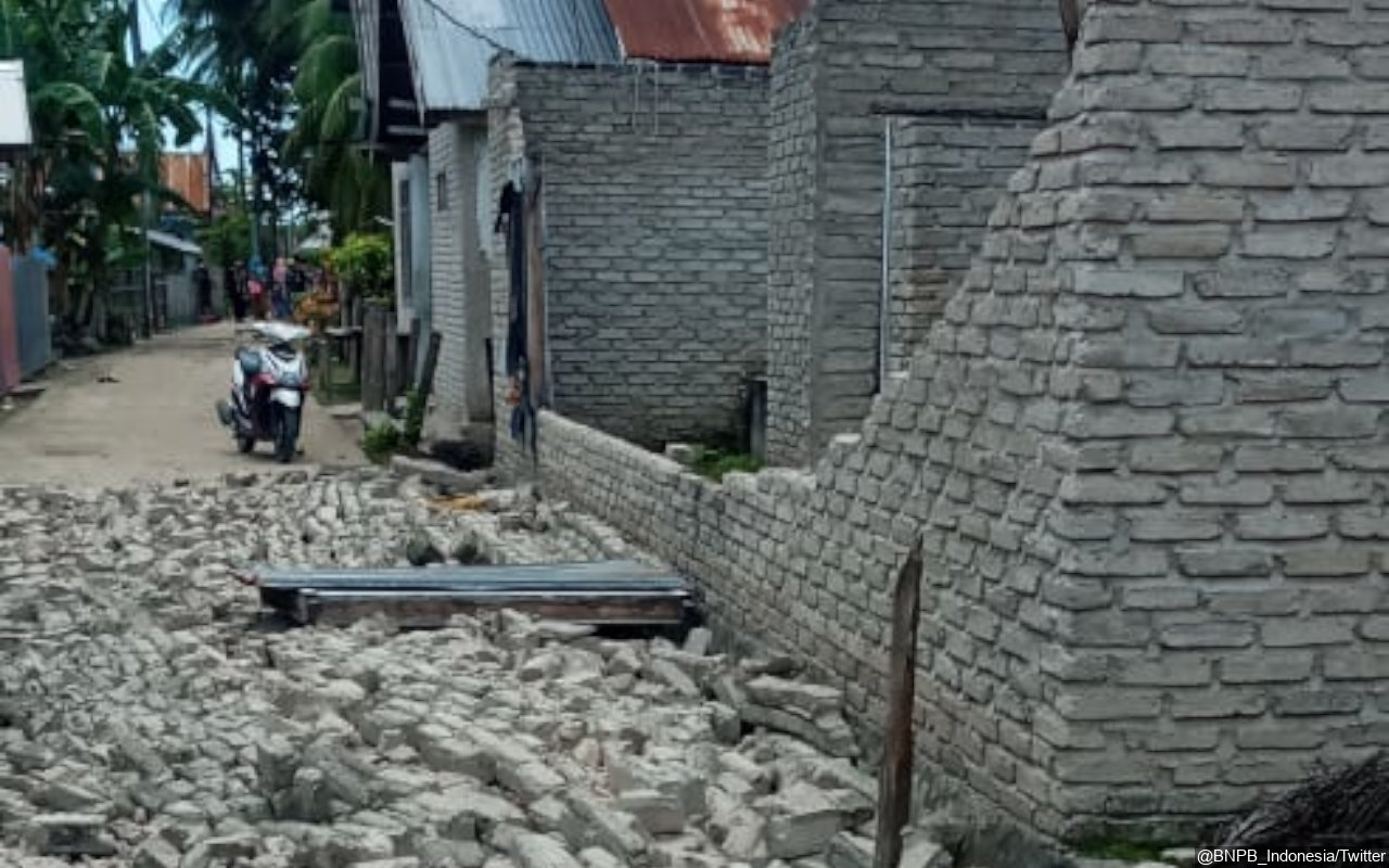 BMKG Catat Ada Ratusan Gempa Susulan di Laut Flores, Pascagempa M 7,4 di NTT
