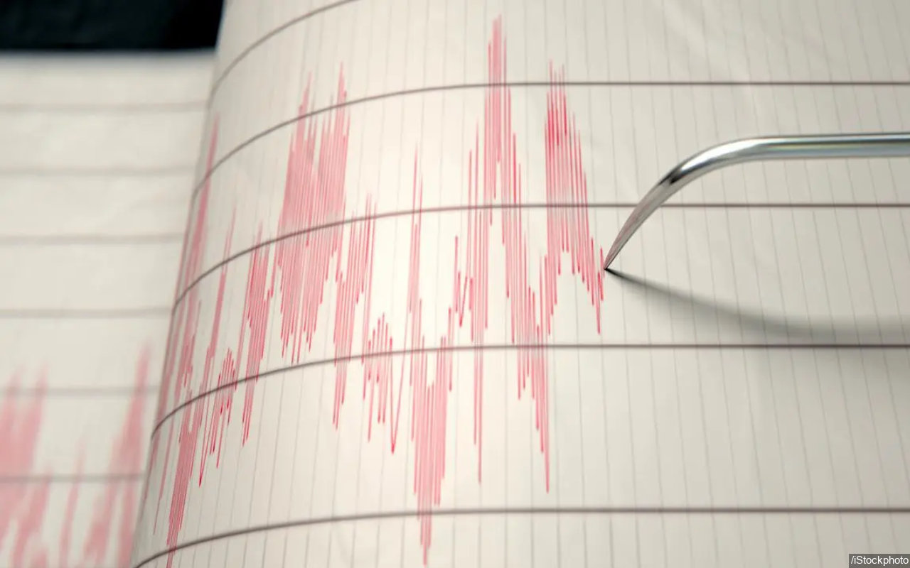 Gempa Bumi 7,3 M Guncang Maluku Barat Daya, BMKG Klaim Tak Ada Laporan Kerusakan