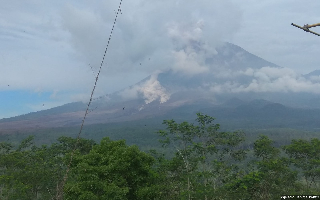 Kembali Luncurkan Awan Panas Sejauh 5 Km, Begini Kondisi Gunung Semeru