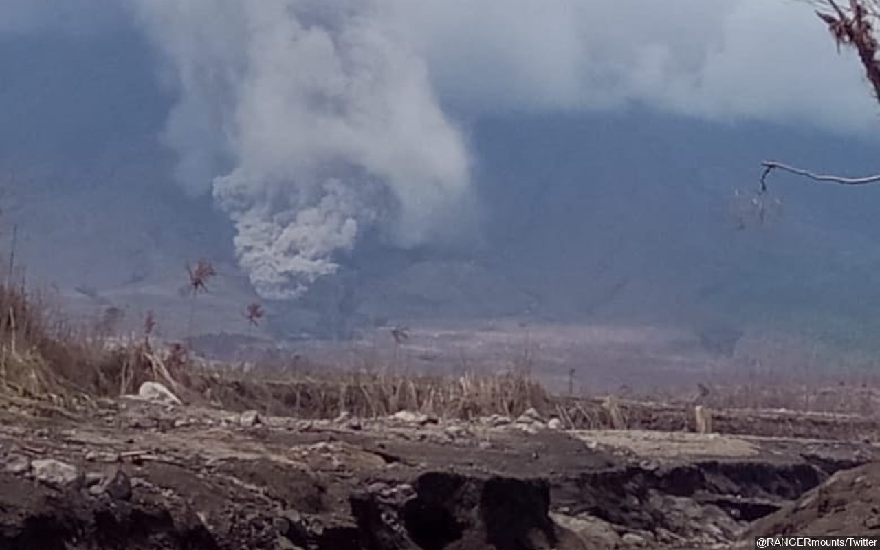 Belum Direlokasi, Warga Terdampak Erupsi Gunung Semeru Masih Berada di Pengungsian