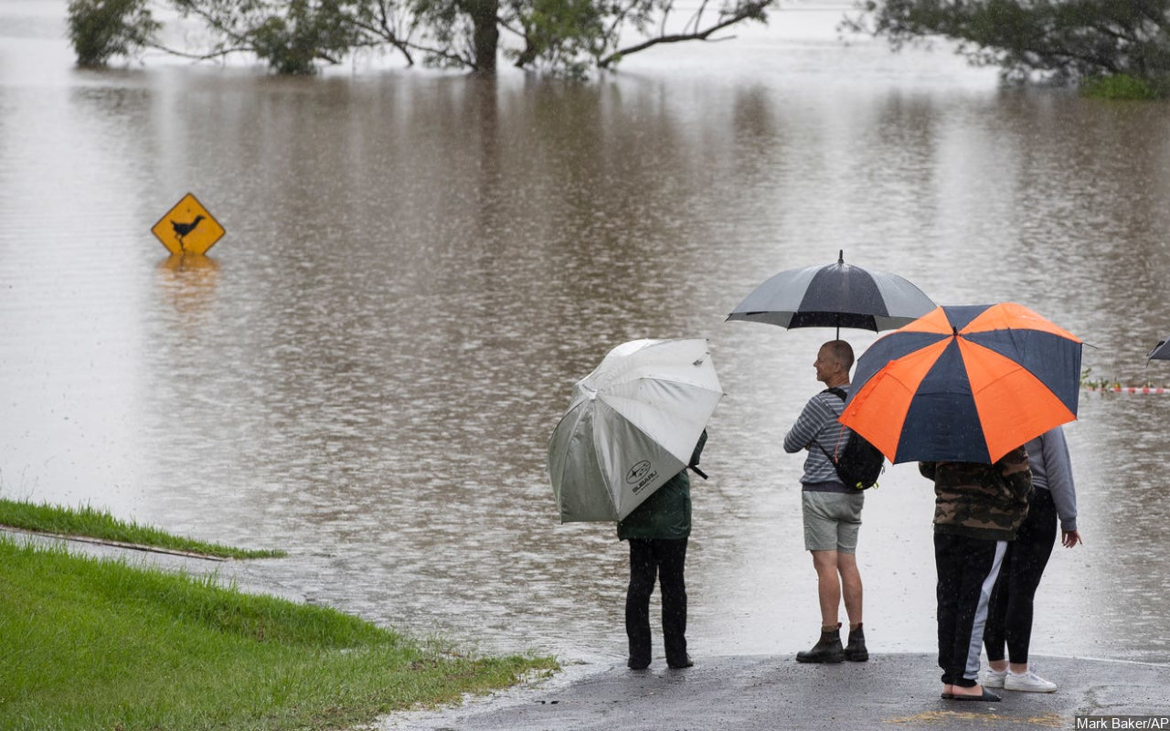 Seram! Seekor Hiu Banteng Berenang di Genangan Air Banjir di Queensland Australia