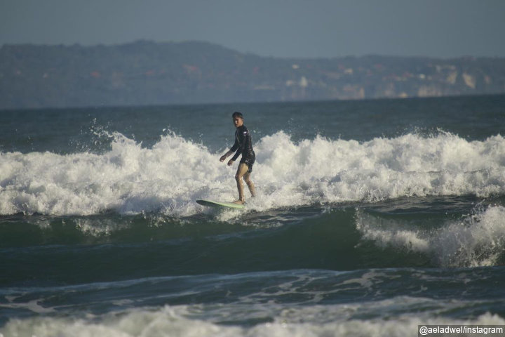 Gemar <i>surfing</i>