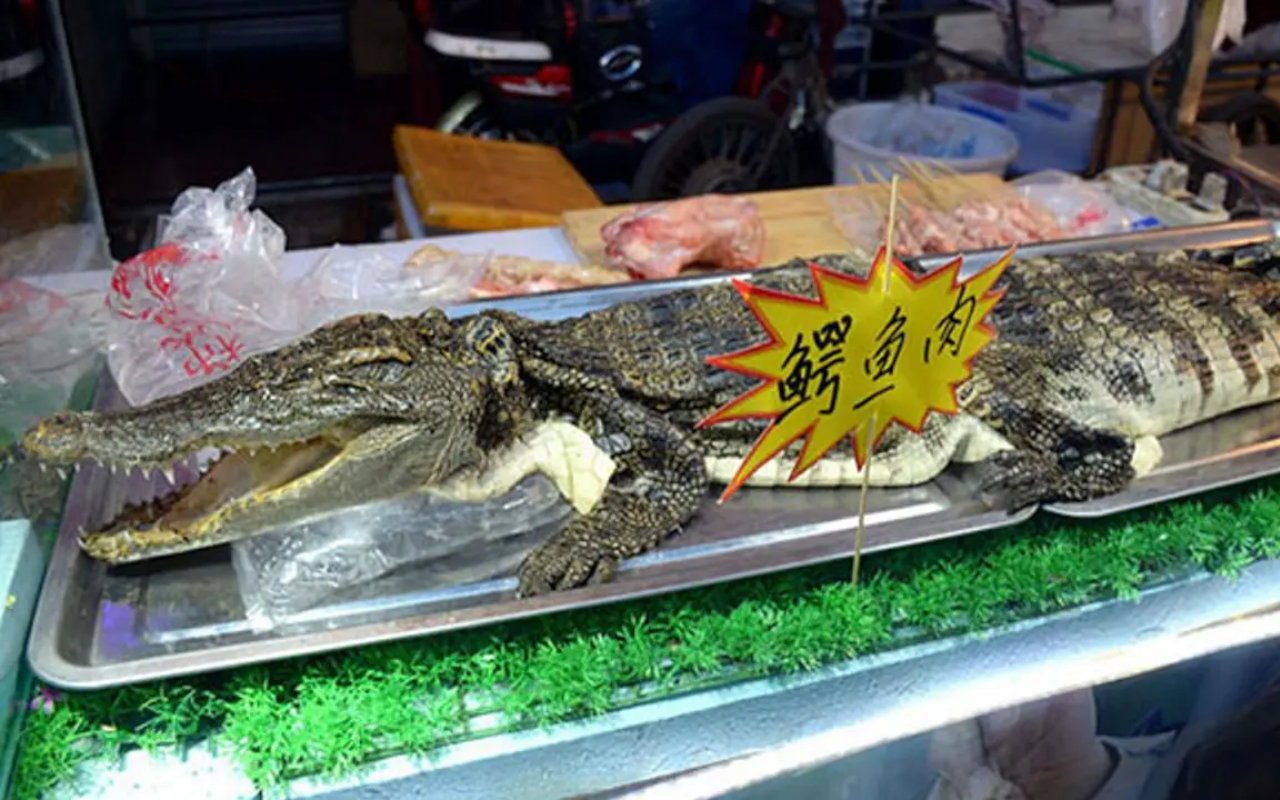 Harga Daging Babi Melonjak, Warga Thailand Beralih Konsumsi Buaya