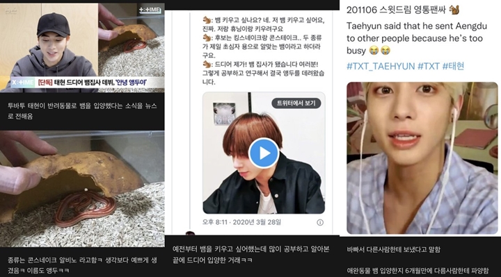 Taehyun TXT Dikritik Gara-Gara Adopsi Ular Tapi Dihibahkan