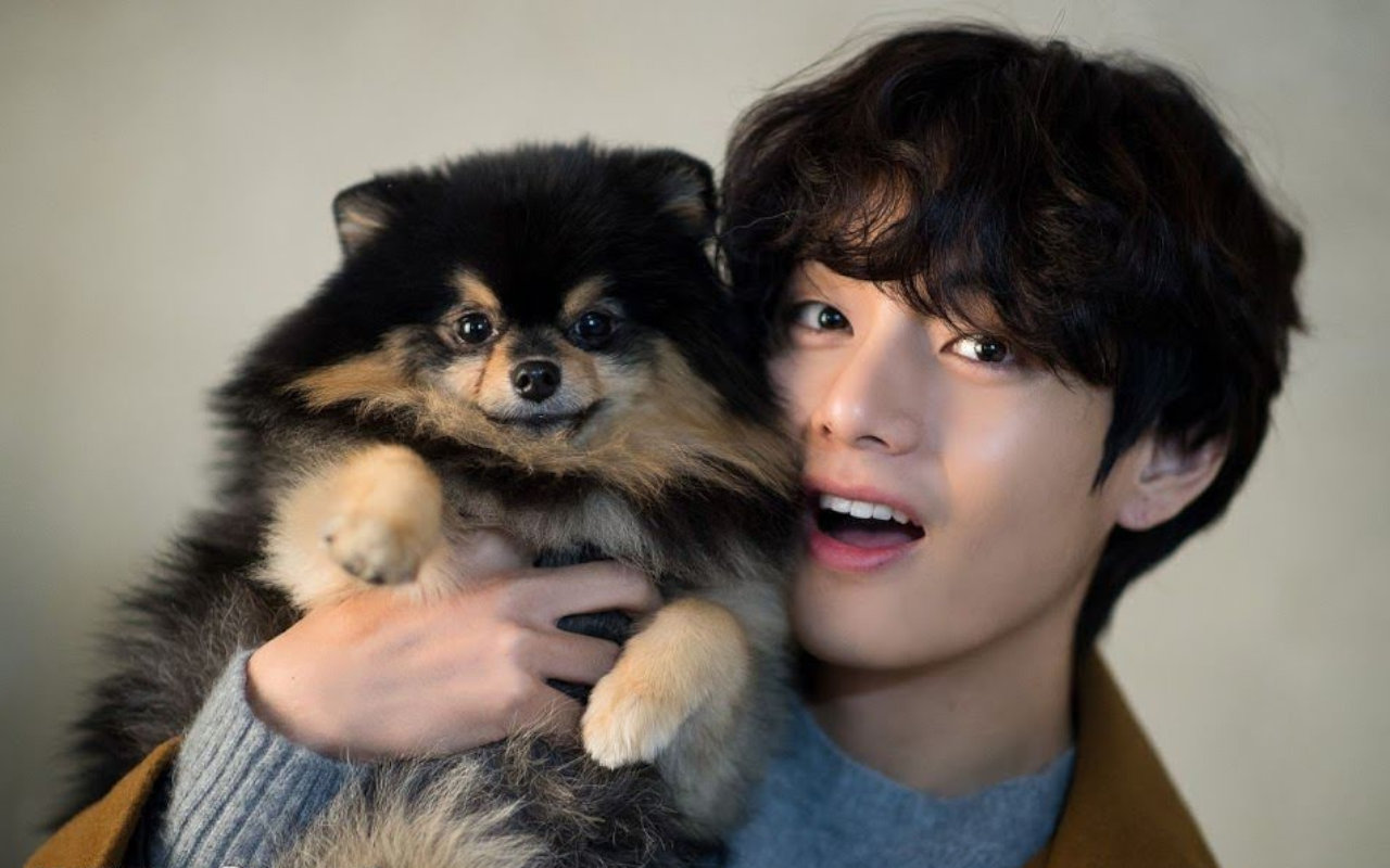 Belai Hingga Ciumi Yeontan, Gaya Rumahan V BTS Pacarable Banget