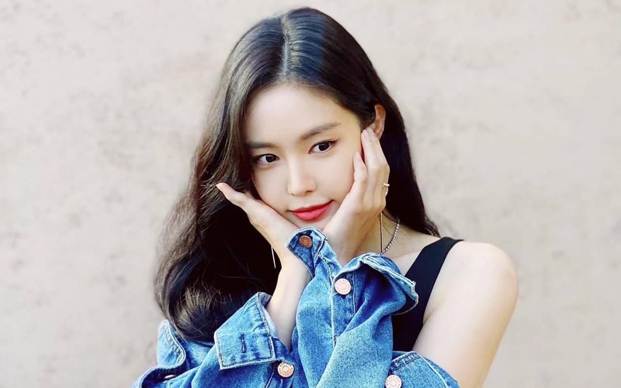 Na Eun A Pink Tak Ikut Promosi Album Spesial 10 Tahun Debut, Nama Agensi 'Disebut'