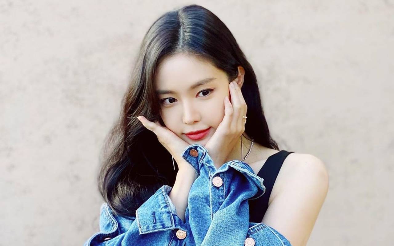 Na Eun A Pink Tak Ikut Promosi Album Spesial 10 Tahun Debut, Nama Agensi 'Disebut'