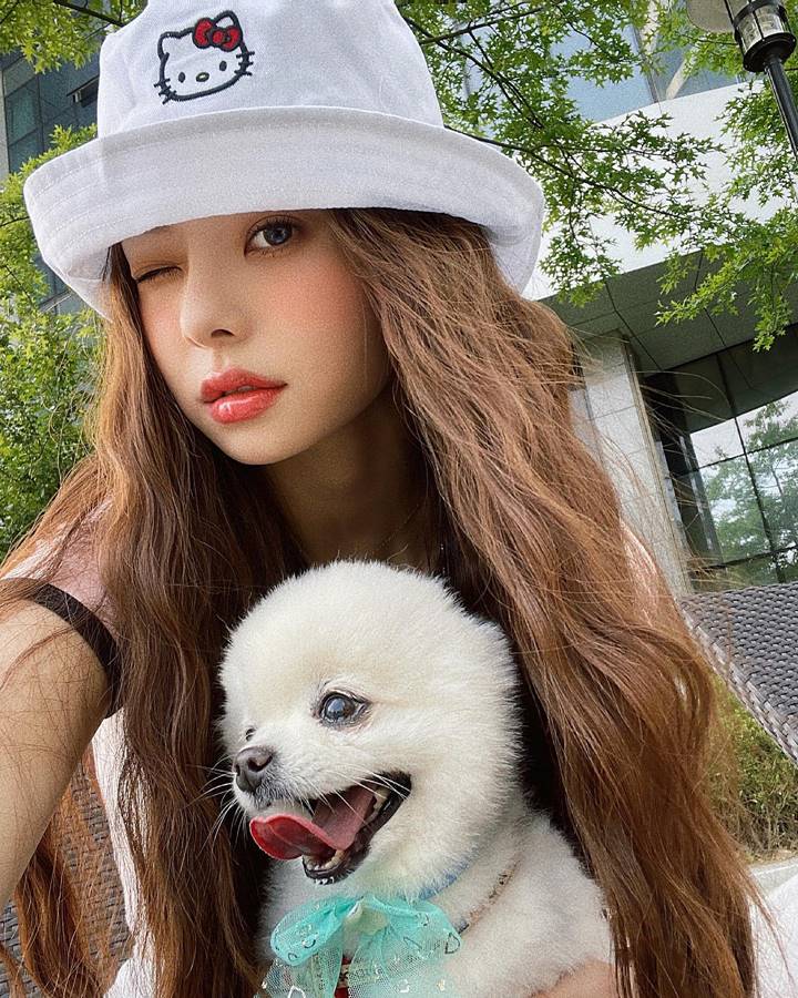 pecinta anjing