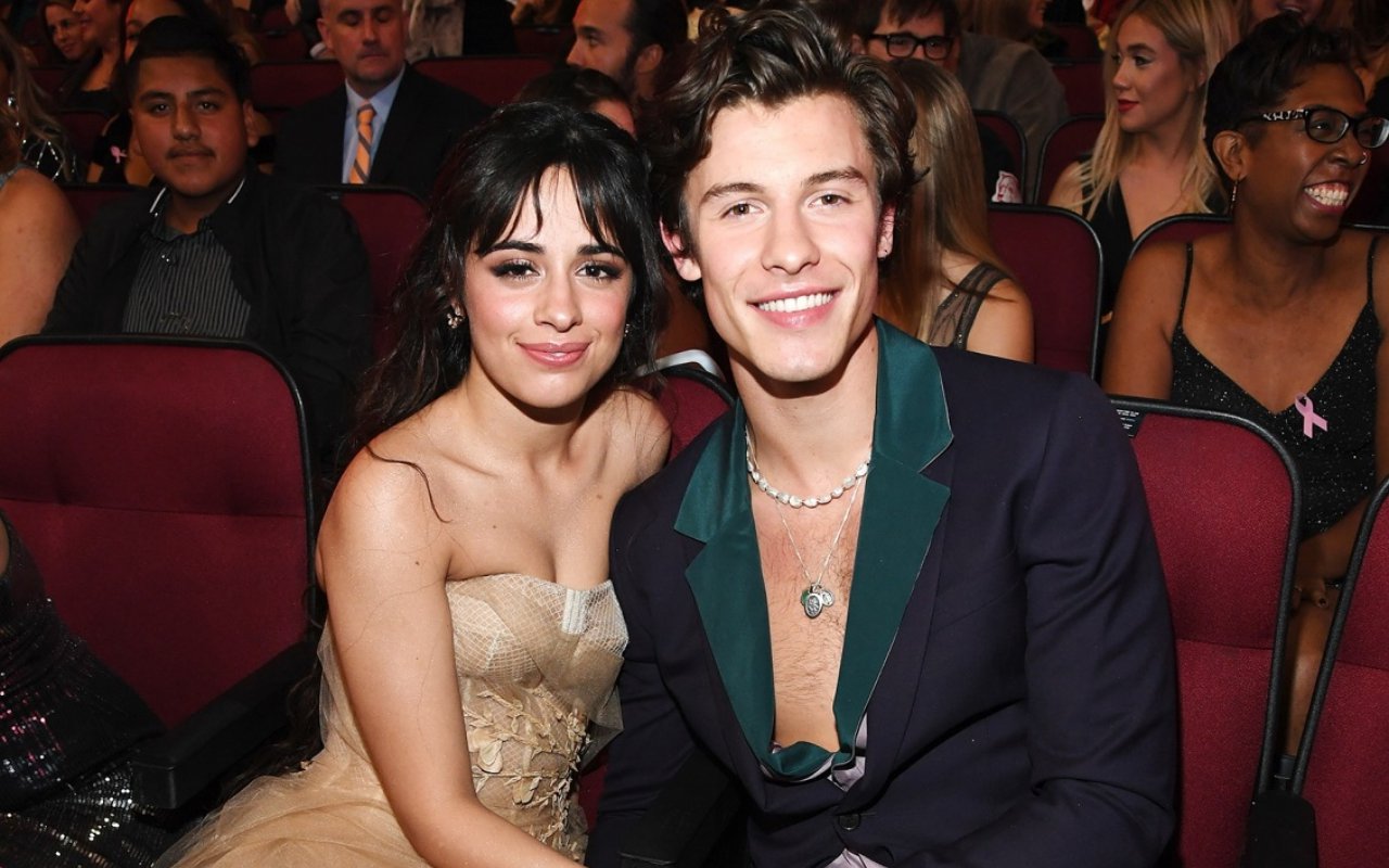 Camila Cabello Keciduk Beri Komentar Menggoda Di Postingan Terbaru Shawn Mendes, Kode Balikan?