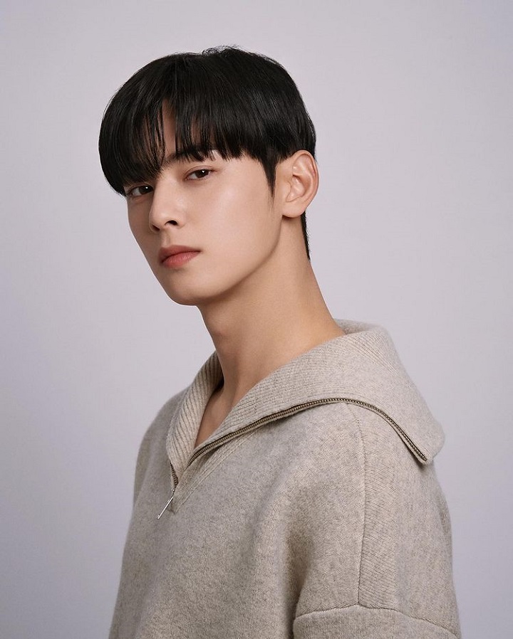 Cha Eunwoo 