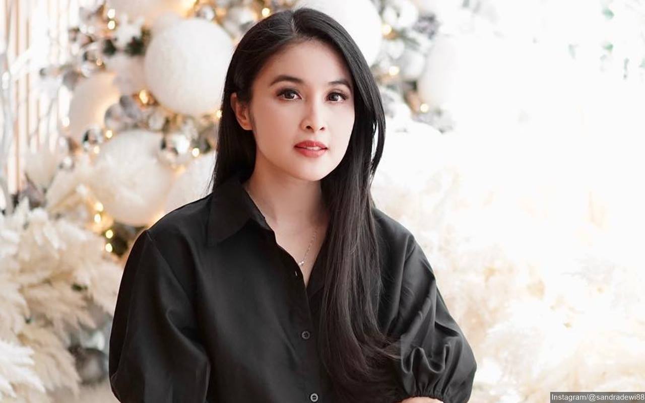 Sandra Dewi Baru Pamerkan Kado Natal Terindah Bukan dari Harvey Moeis, Malah Bikin Terenyuh