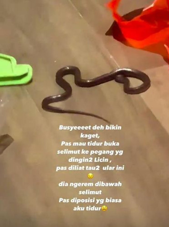 Lydia Kandou Syok Temukan Ular di Balik Selimut Tidur, Auto Ingat Pesan Ulama Ini