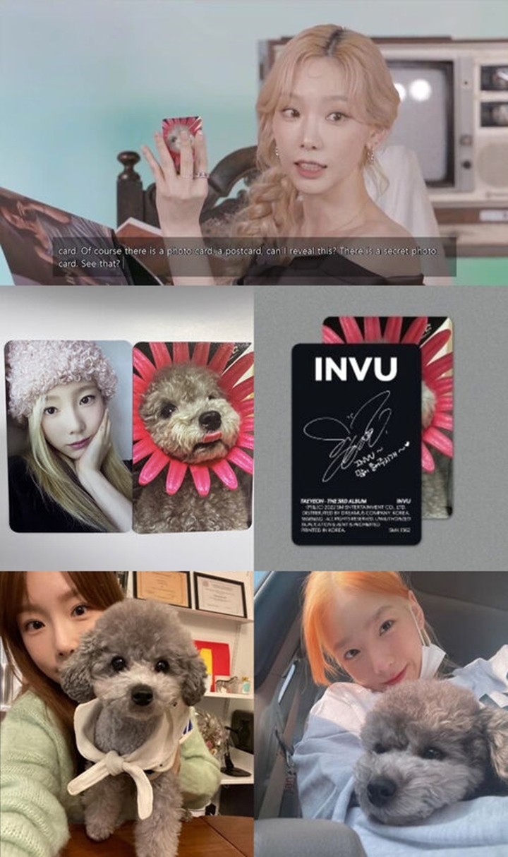 Tae Yeon SNSD Selipkan Photocard Anjingnya, \'Zero\' di Album \'INVU\', Malah jadi Incaran Fans