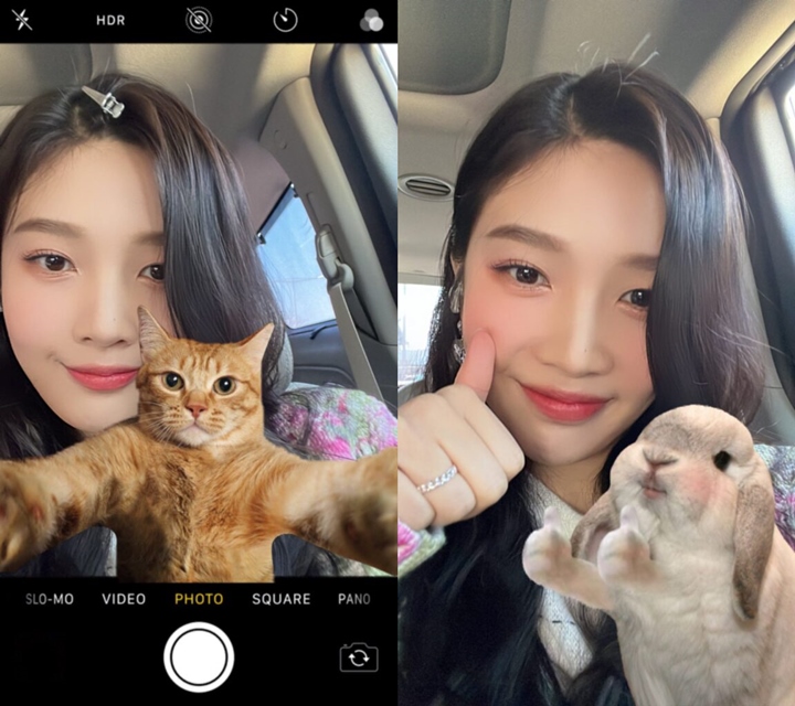 Visual Joy Red Velvet Selfie Bareng \'Hewan\' Dibilang Mirip Anak Kecil, Setuju?