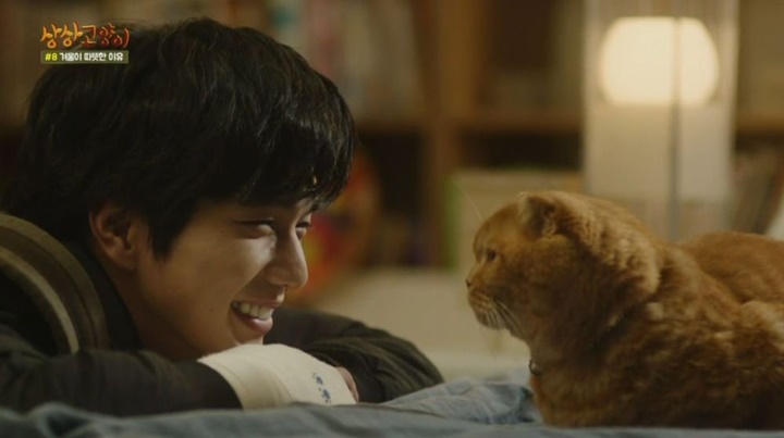 'Imaginary Cat'