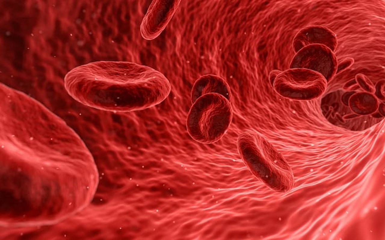 Golongan Darah Pengaruhi Risiko Keparahan saat Terpapar COVID-19?