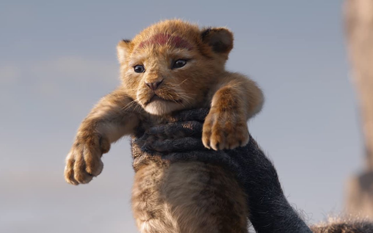 Sutradara Prekuel 'The Lion King' Beri Bocoran Cerita yang Akan Datang