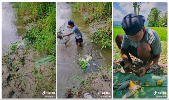 Makin Jago Masak Gara-Gara Konten