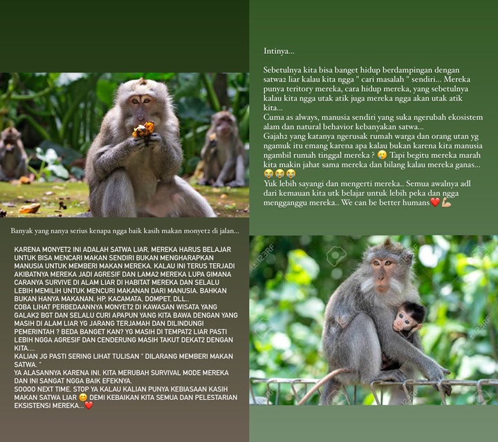 Nana Mirdad Ajak Stop Beri Makan Monyet dan Satwa Liar, Beber Efek Berbahaya Ini