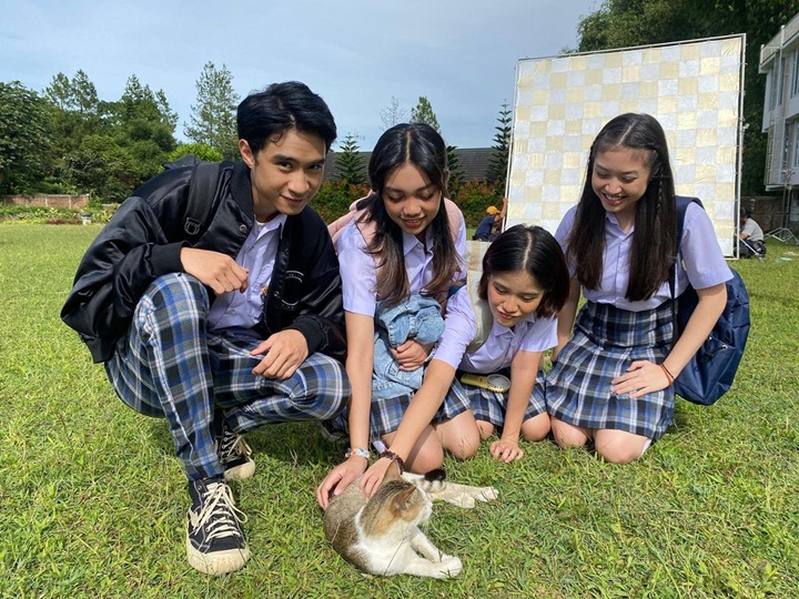 Bermain Dengan Kucing<br>