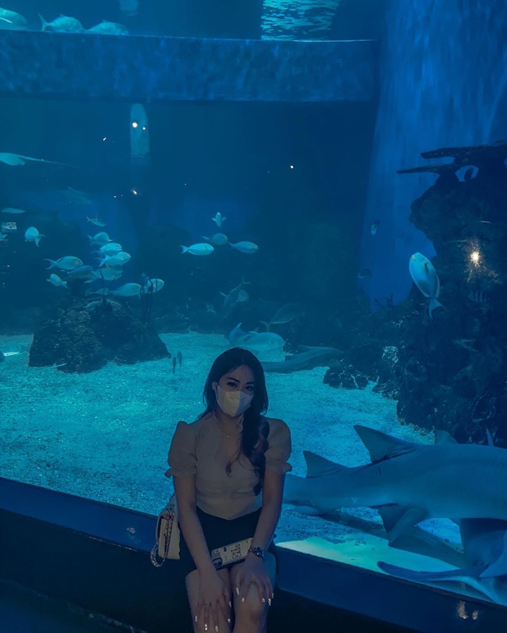 Kunjungi Aquarium