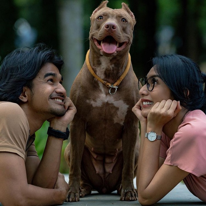 pujian tyas untuk dedikasi Tezi