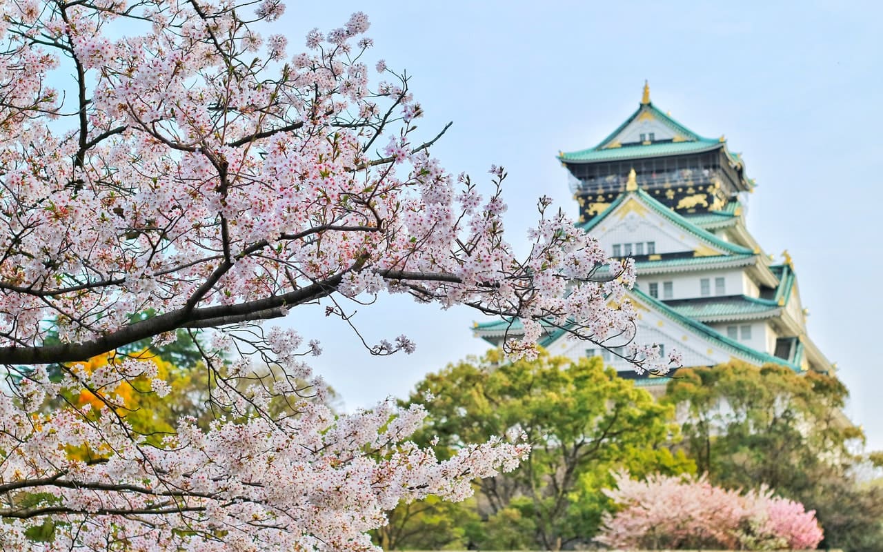 Setelah 2 Tahun, Warga Jepang Kini Bisa Kembali Menggelar Tradisi Menyaksikan Bunga Sakura 'Hanami'