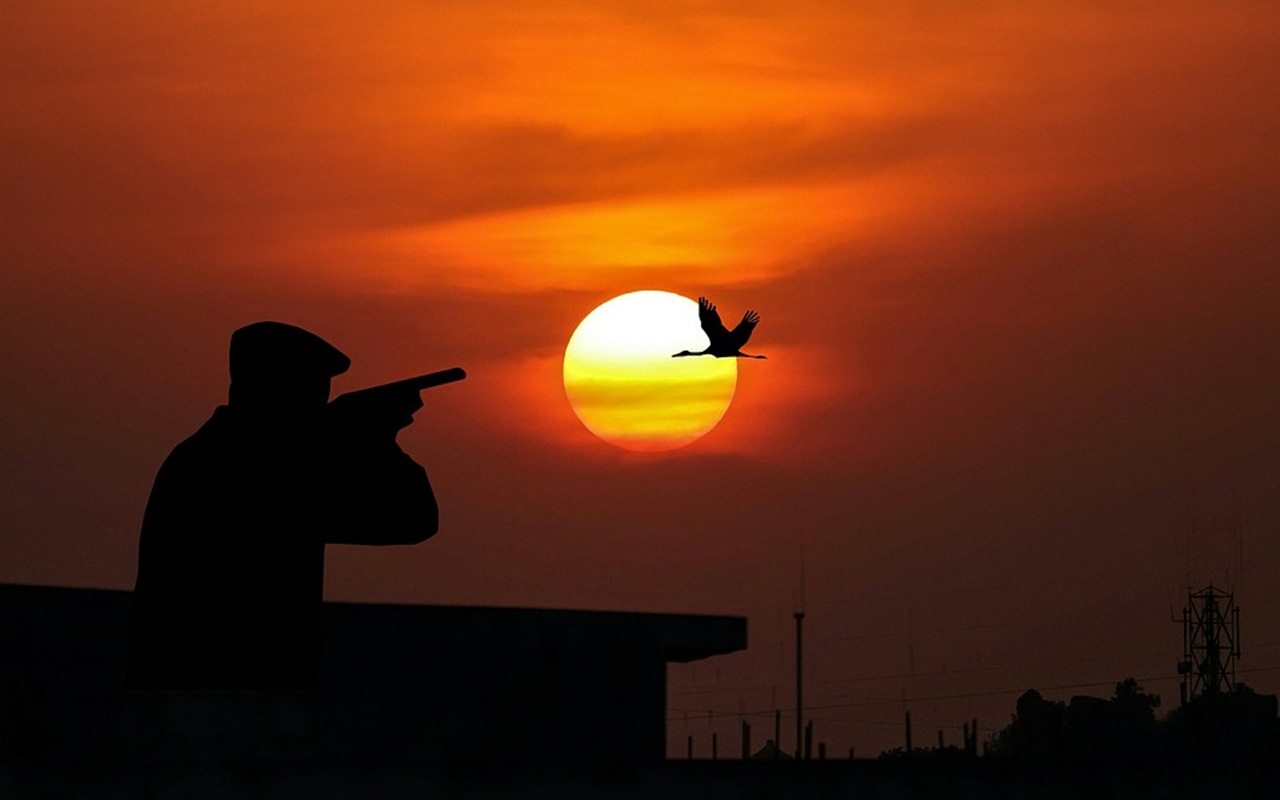 Maksud Hati Berburu Burung, Pria Ini Tak Sengaja Tembakkan Pistol ke Mulutnya Sendiri