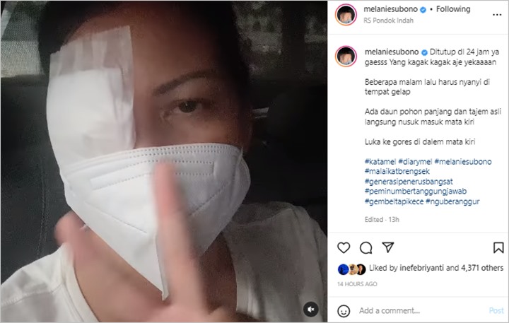 PMelanie Subono