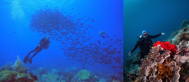 menjelajahi keindahan surga bawah laut
