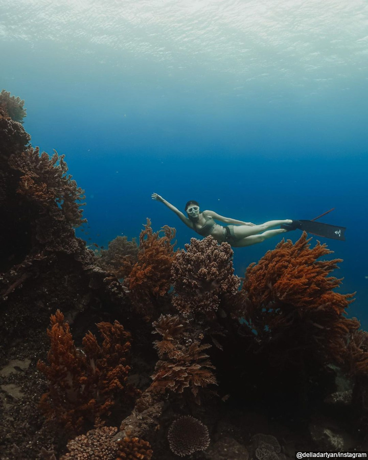 <i>free diving</i> 