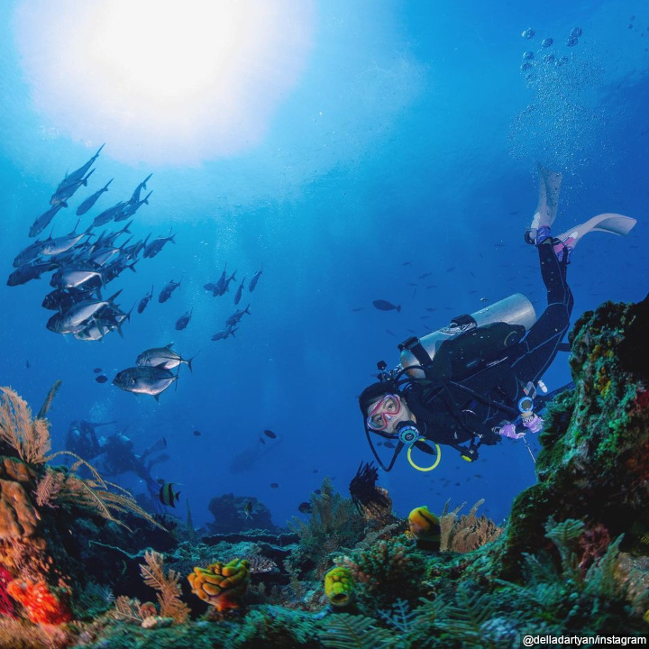Menjelajahi laut